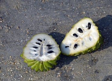 La infusión a base de esta particular fruta tropical que fortalece el sistema inmune de adultos y no pueden tomar los niños