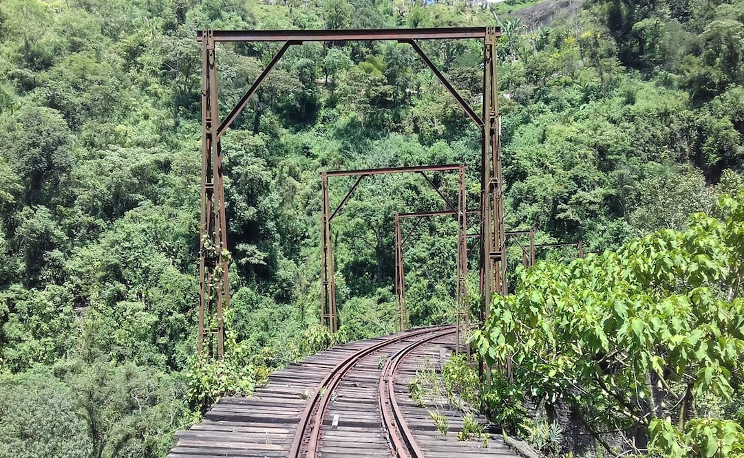 Los cuerpos fueron localizados la noche del lunes 16 de septiembre en vagones de ferrocarril estacionados en la zona conocida como Pueblo Quieto, ubicada en la avenida Inglaterra, en la colonia Jardines del Bosque, en Guadalajara. Foto: Arturo Paramo Cisneros / INAH
