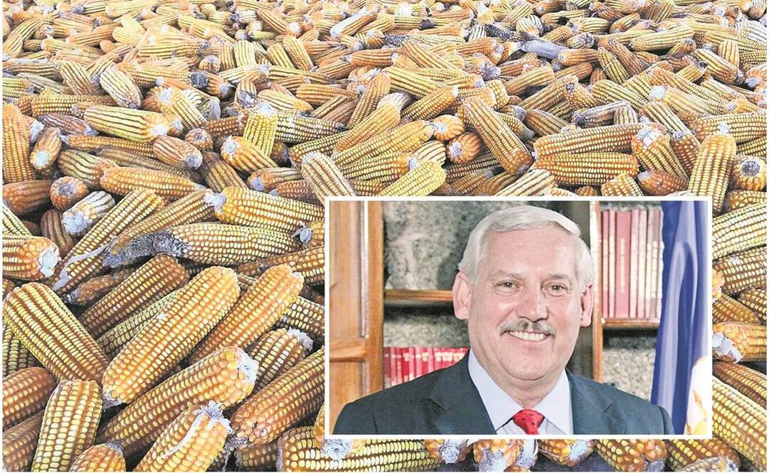 Secretario de Agricultura y Desarrollo Rural, Víctor Villalobos. Foto: Especial