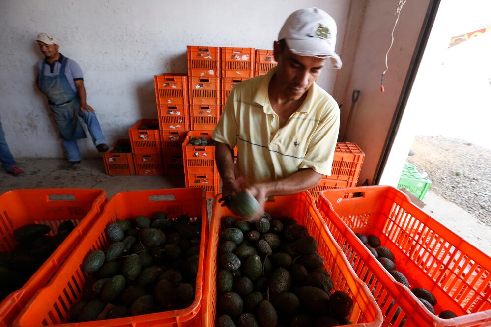 ARCHIVO / EL UNIVERSAL