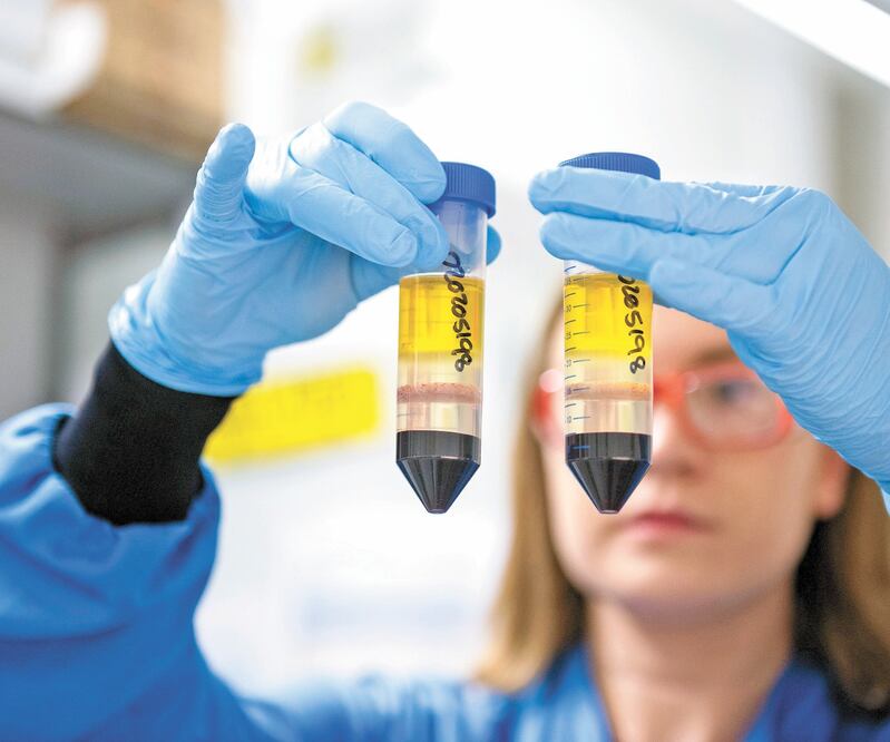 Una investigadora de la Universidad de Oxford. JOHN CAIRNS. AP