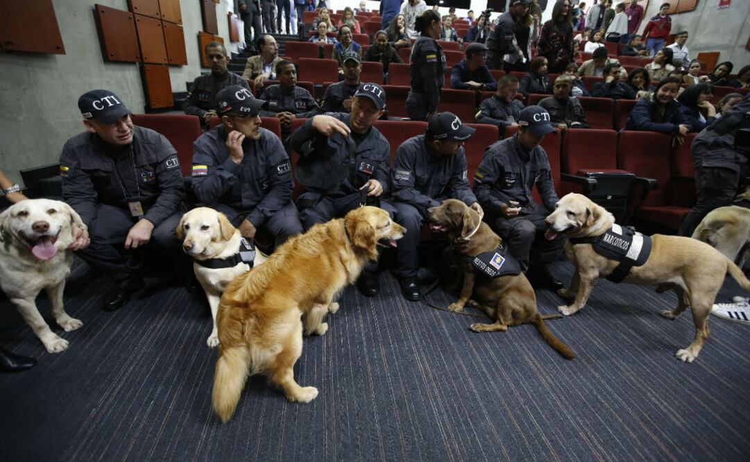 Uno de los perros honrados fue Canela, un labrador de 12 años que ayudó a la policía a descubrir más de 65 fosas comunes con los restos de víctimas de paramilitares. FOTOS: AP