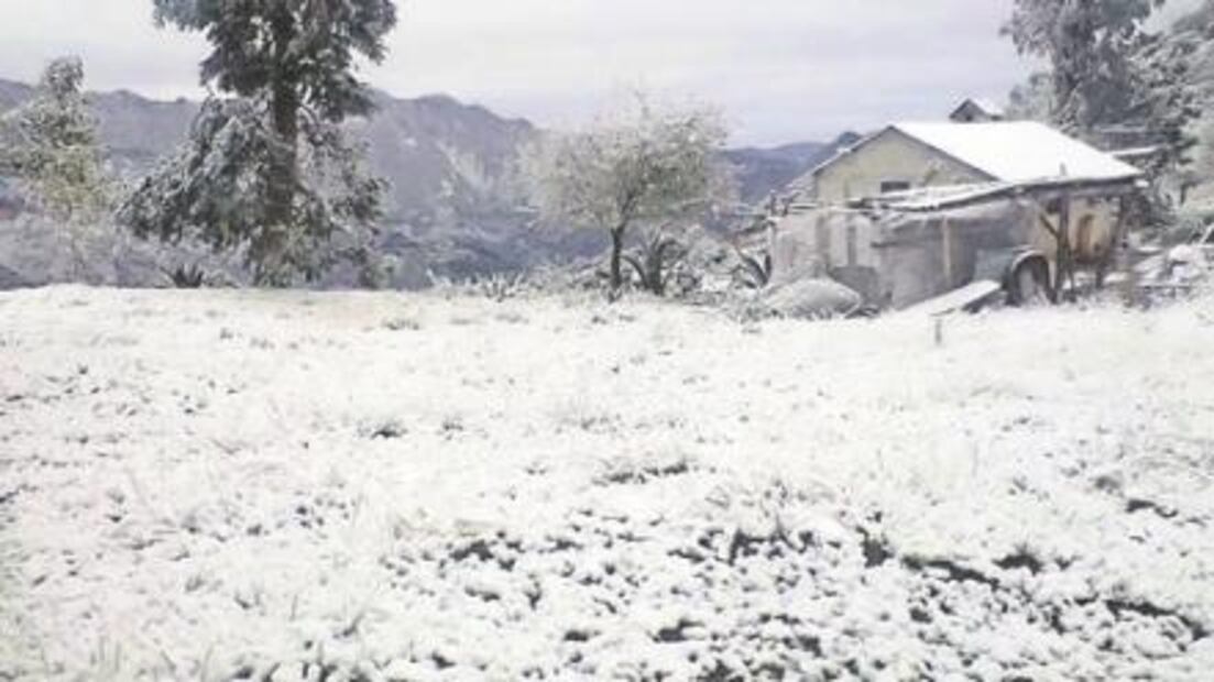 Temporal gélido azota a 21 entidades del país