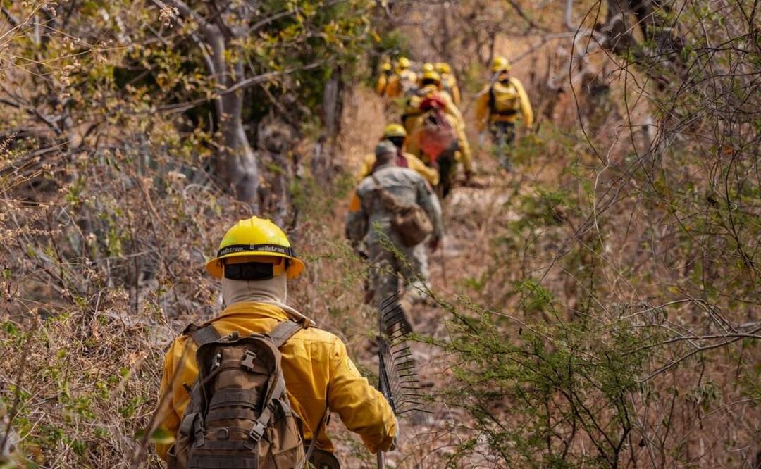La Secretaría de Desarrollo Sustentable anunció que se reactivó un incendio forestal en Miacatlán, Morelos debido a los fuertes vientos (08/04/2025). Foto: Especial