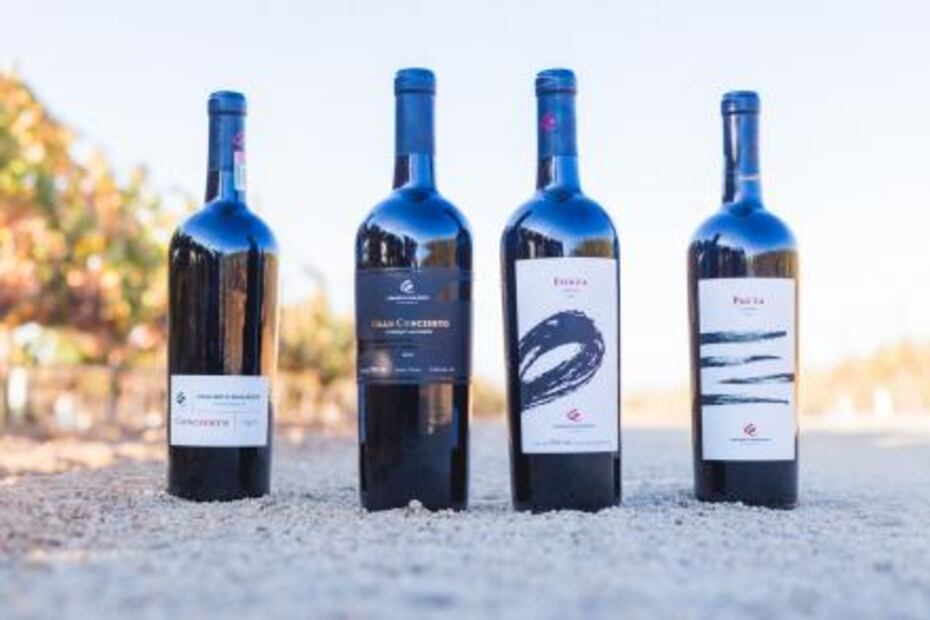 Concierto Enológico: música para millenials