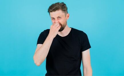 La hoja de este árbol trata la gingivitis y ayuda a tener un aliento siempre fresco