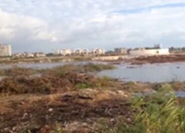 Calderón puso lápida a manglar de Tajamar