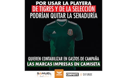 Senadores Solís y García se aprovecharon indebidamente de marcas: TEPJF