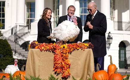 Joe Biden perdona a dos pavos: Chocolate y Chip, por el Día de Acción de Gracias