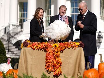 Joe Biden perdona a dos pavos: Chocolate y Chip, por el Día de Acción de Gracias