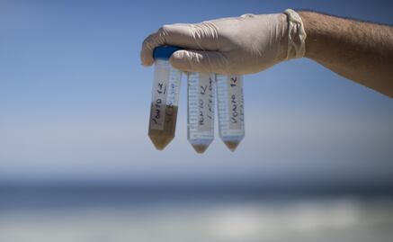 UNAM student develops process to instantly detect contaminants in water