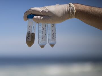 UNAM student develops process to instantly detect contaminants in water