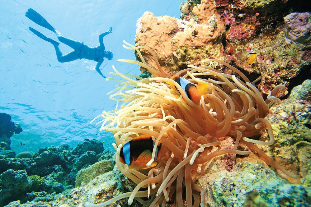 Foto: Archivo. EL UNIVERSAL