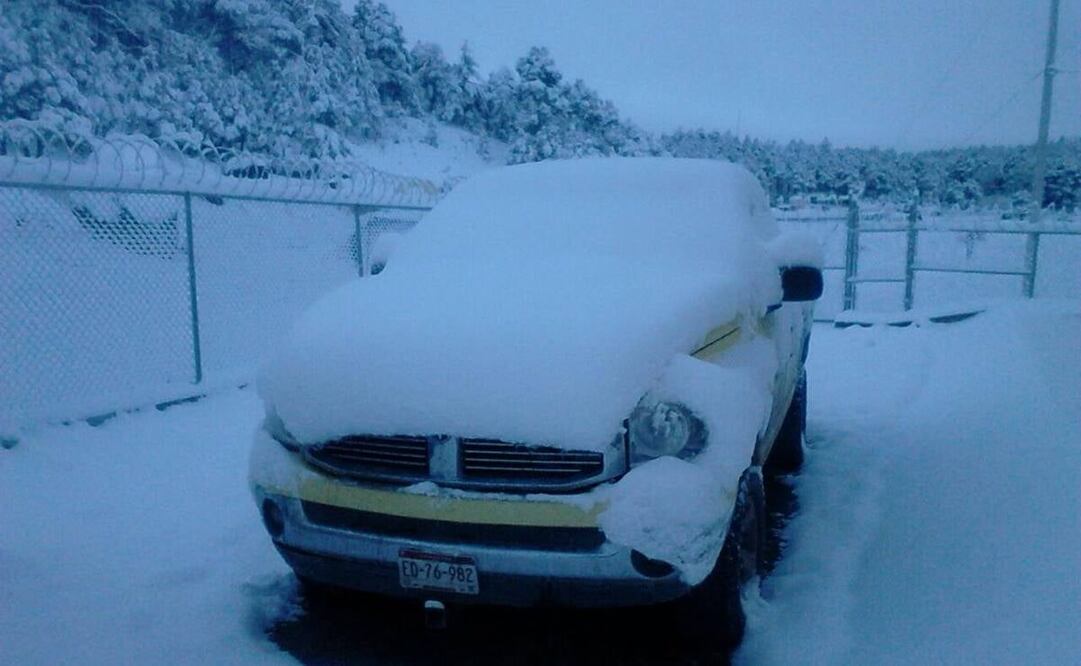 Foto: Archivo/ EL UNIVERSAL.