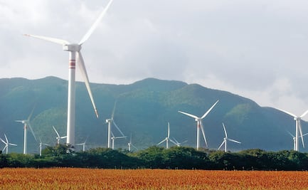 Falsa ilusión pensar que empresas de China vendrán a México, hay “cierta desconfianza”: Comce