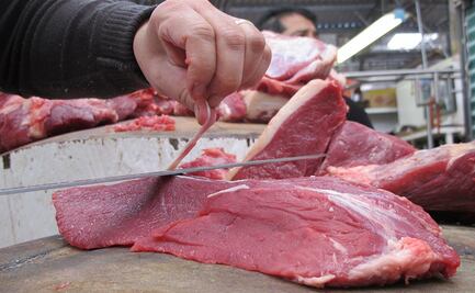Advierten que reabrir mercado a Argentina crea riesgo de recibir fiebre aftosa en carne bovina