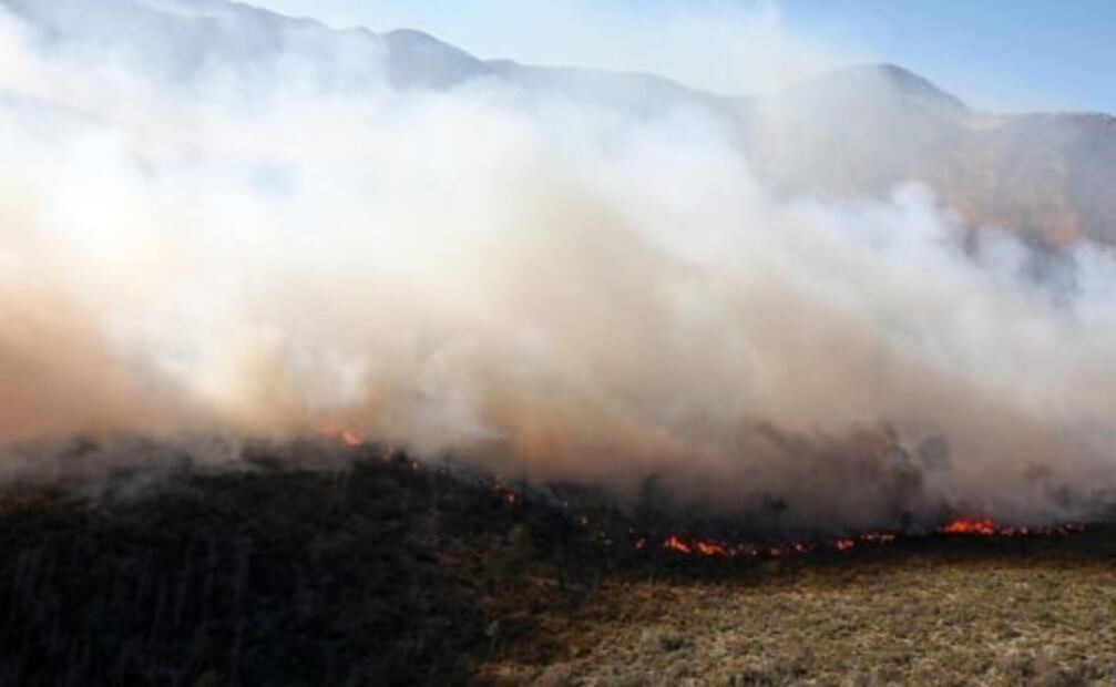 Suspenden combate a incendio forestal en Sierra de Arteaga por riesgo de brigadistas
