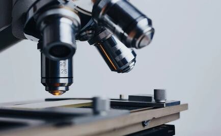 Maestra pide de tarea una muestra de semen a sus alumnos; papá de uno la denuncia por corrupción de menores