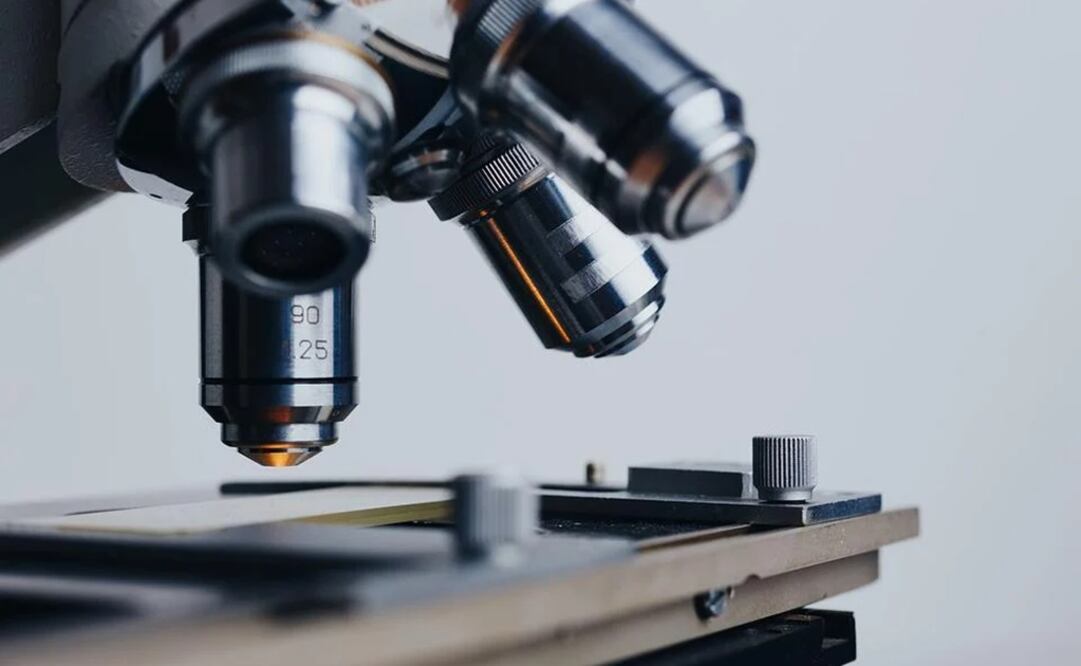 Foto: Ilustrativa. Pixabay