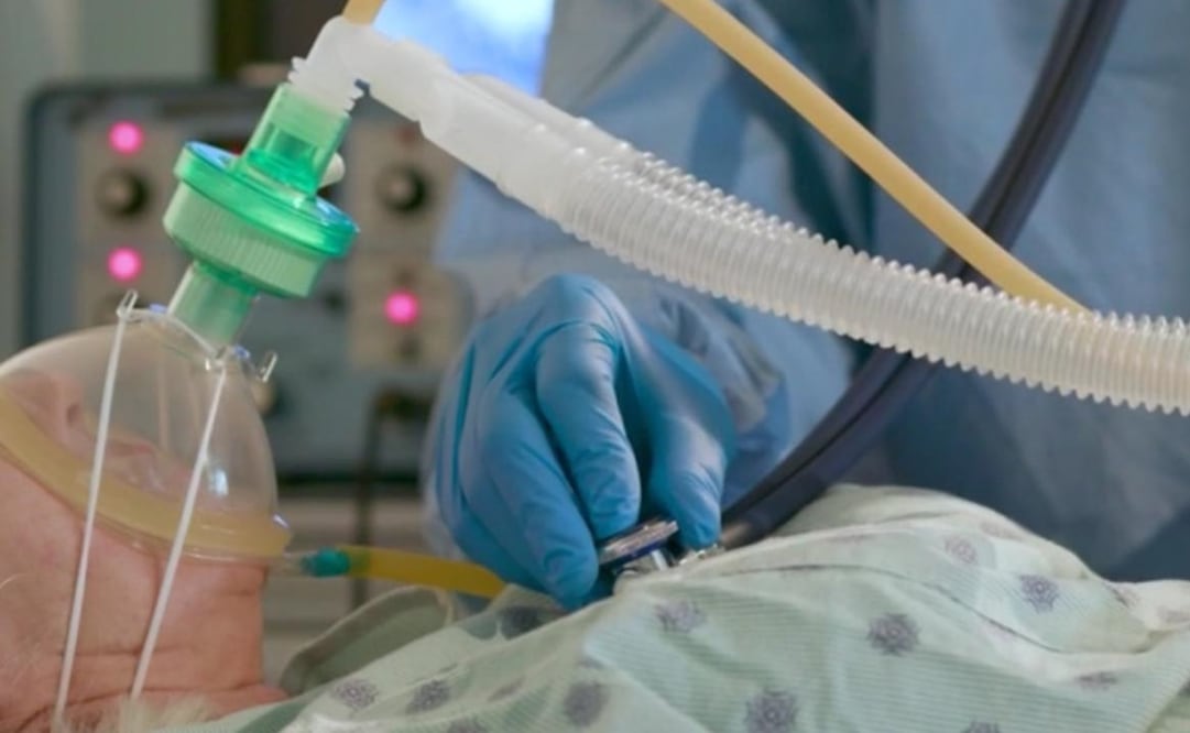 Foto: Archivo / EL UNIVERSAL