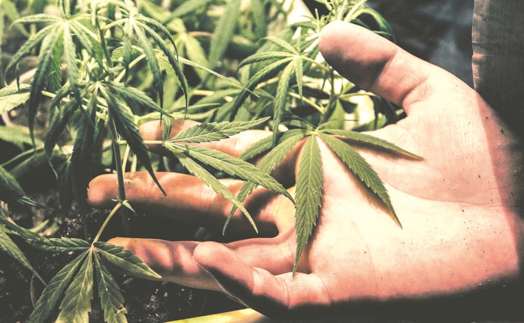 FOTO: ARCHIVO. EL UNIVERSAL