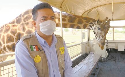 Reino Animal lanza ofertas para seguir laborando