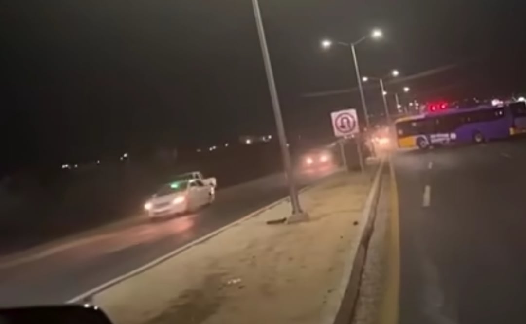 Balacera en Los Cabos, BCS deja un estadounidense muerto; reportan siete personas lesionadas, entre ellos un menor de edad.
Foto: Especial.