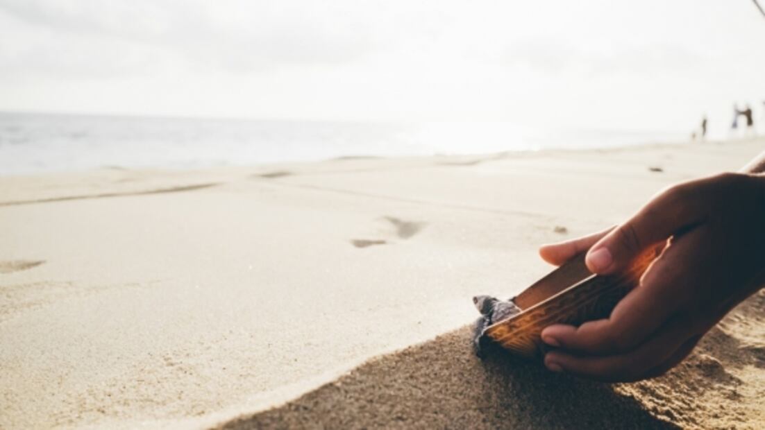 Las mejores cosas que hacer en Puerto Escondido