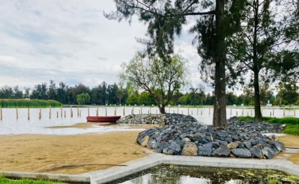 Crean playa de aves en Bosque de San Juan de Aragón 