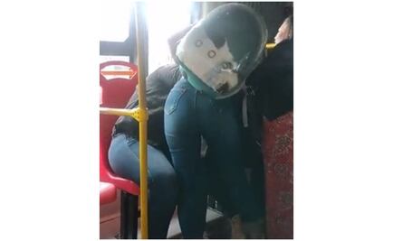 Por un asiento, mujeres protagonizan pelea en TransMilenio y se hace viral