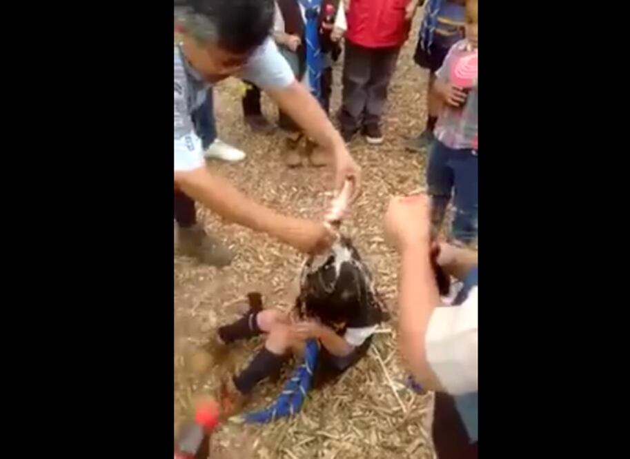 (Foto: tomada de video)