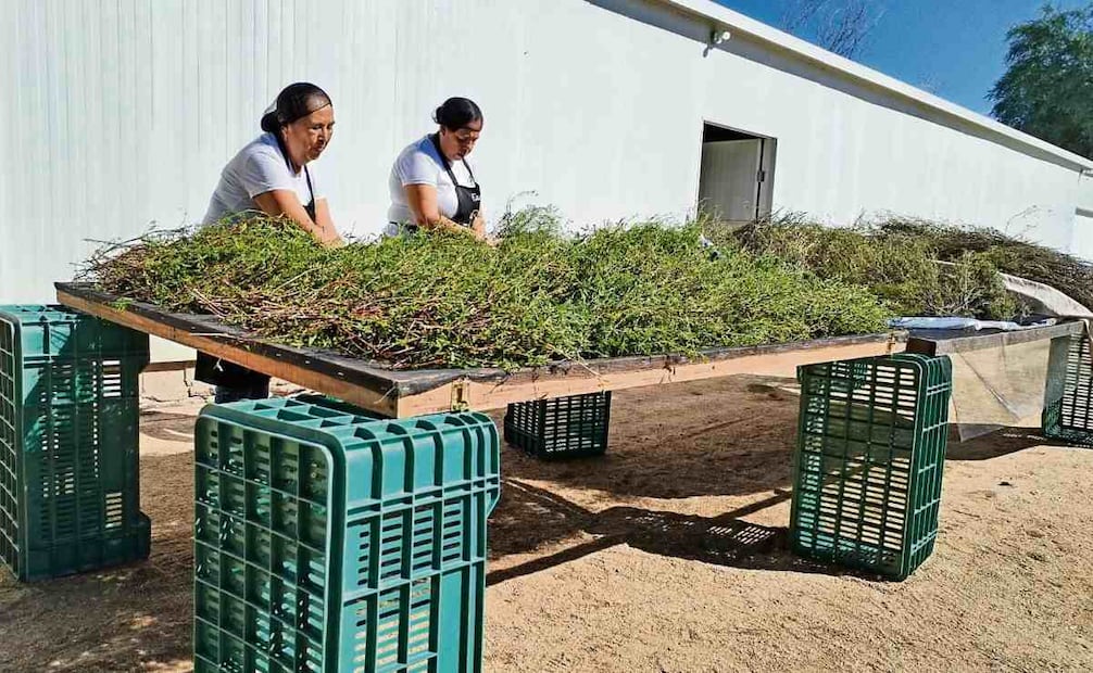 Foto: Gladys Navarro / EL UNIVERSAL