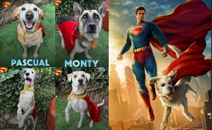 Adopta a tu Krypto y vuélvete Superman; Warner Bros lanza colaboración para promover la adopción de mascotas