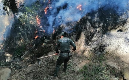 Combaten incendio forestal en Valle de Perote, Veracruz