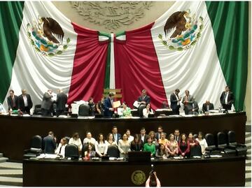 Sobrerepresentación distorsionará debate público y limita derechos de minorías, advierte sector agropecuario