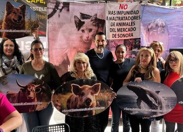 Ambientalistas y rescatistas realizarán marcha contra venta de animales exóticos en Mercado Sonora
