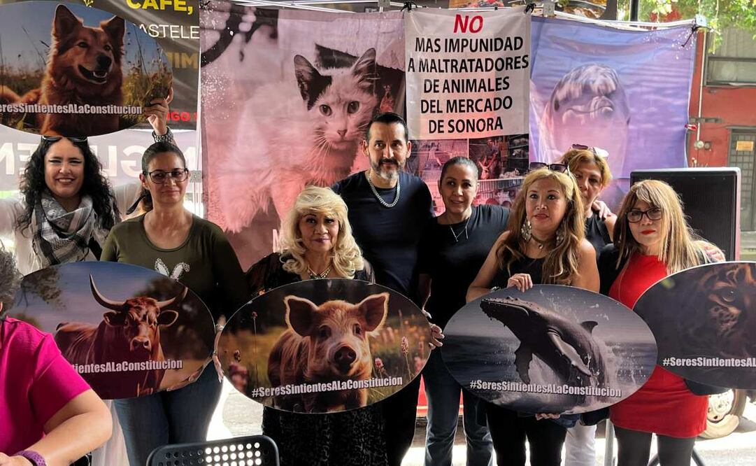 Ambientalistas y rescatistas realizarán marcha contra la venta de animales exóticos en el Mercado Sonora
Foto: Especial.