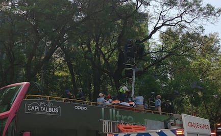 Rescatan a hombre que subió a un árbol en Paseo de la Reforma; montan un operativo especial con un autobús turístico
