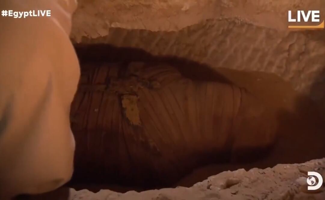 Foto: Captura Twitter / Discovery