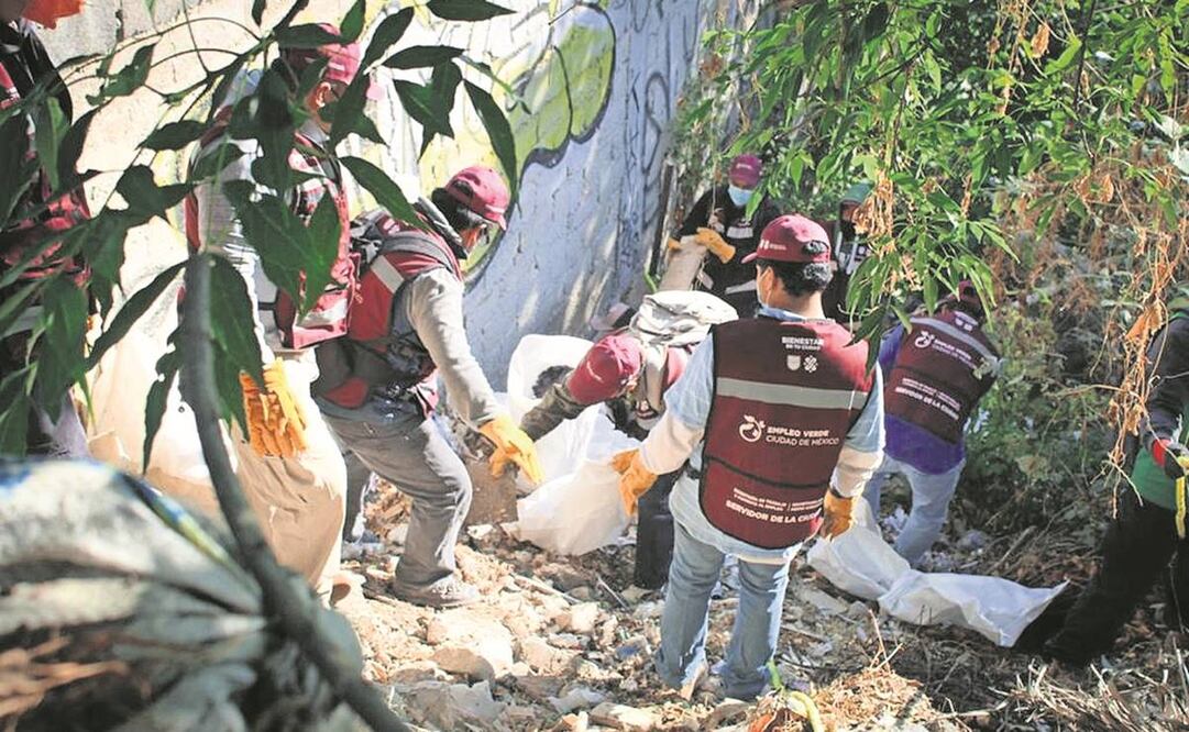 En las labores de limpieza participaron mil personas del programa Empleo Verde. Foto: Especial.