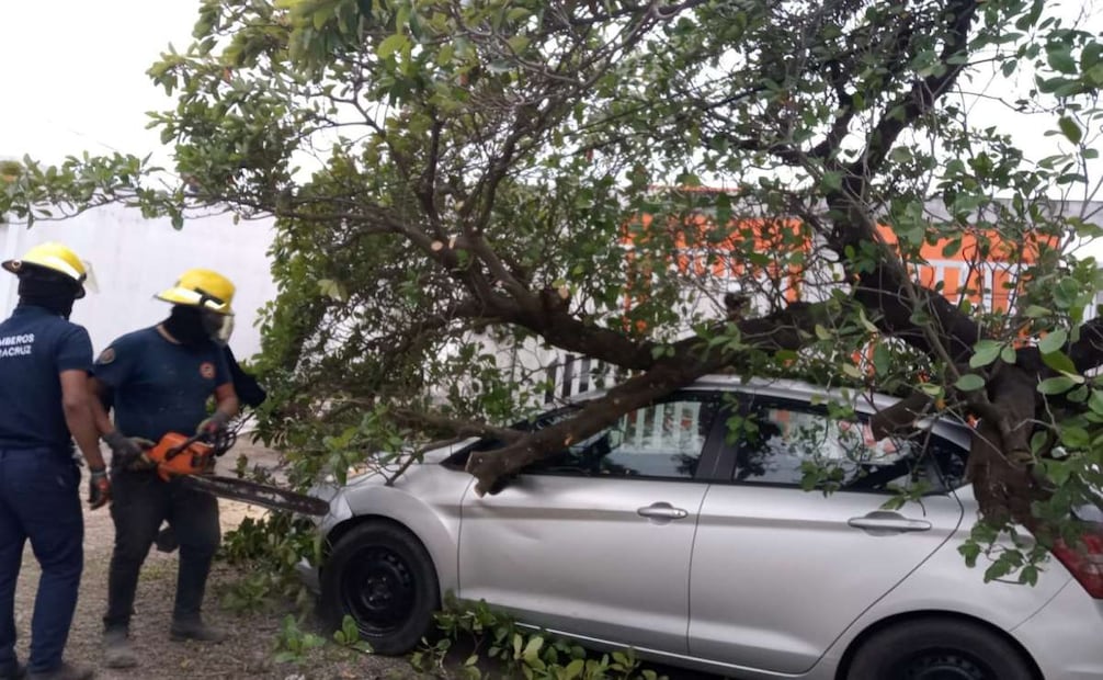 Vientos del norte de casi cien km por hora y temperaturas de hasta -2.0 grados centígrados han afectado en las últimas 24 horas en diversas regiones de Veracruz (31/01/26). Foto: Especial