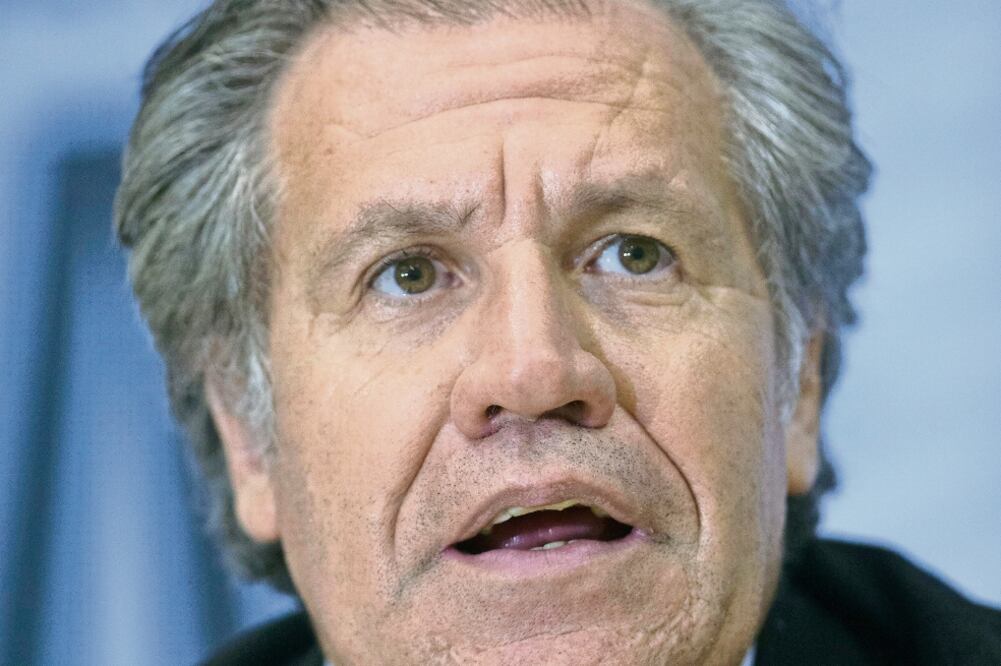 Luis Almagro, secretario general de la OEA (Archivo)