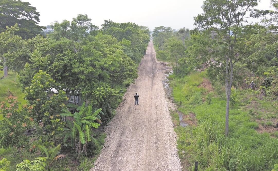 Organizaciones civiles informaron que ya comenzaron los trabajos en una zona del nuevo trazo y acusan devastación de la selva. Foto: ARCHIVO EL UNIVERSAL