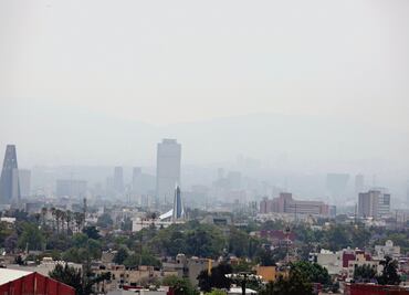 La verificación vehicular será por computadora: Müller