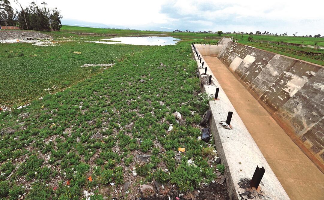 El agua en la Presa José Antonio Alzate, en Temoaya, no llega a los niveles de hace 20 años, aseguran pobladores. Foto:  JORGE ALVARADO. EL UNIVERSAL