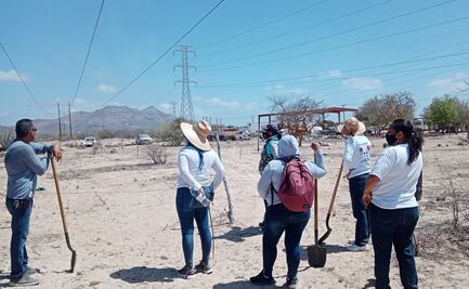 Colectivos de búsqueda localizan 18 osamentas durante primeros meses del año en BCS