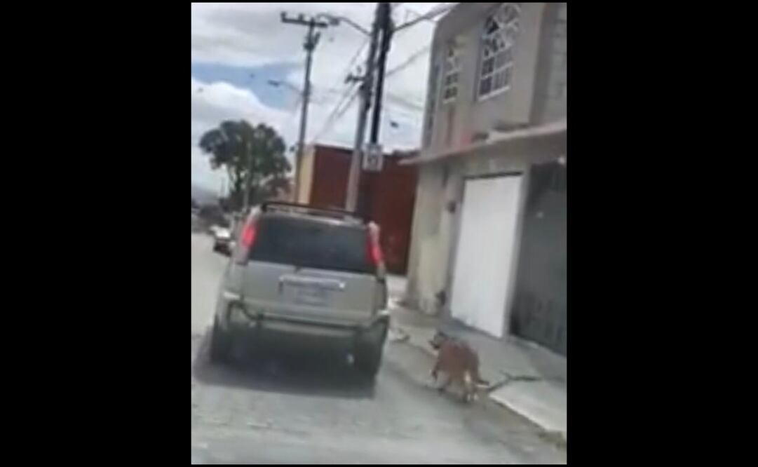 Foto: captura de pantalla