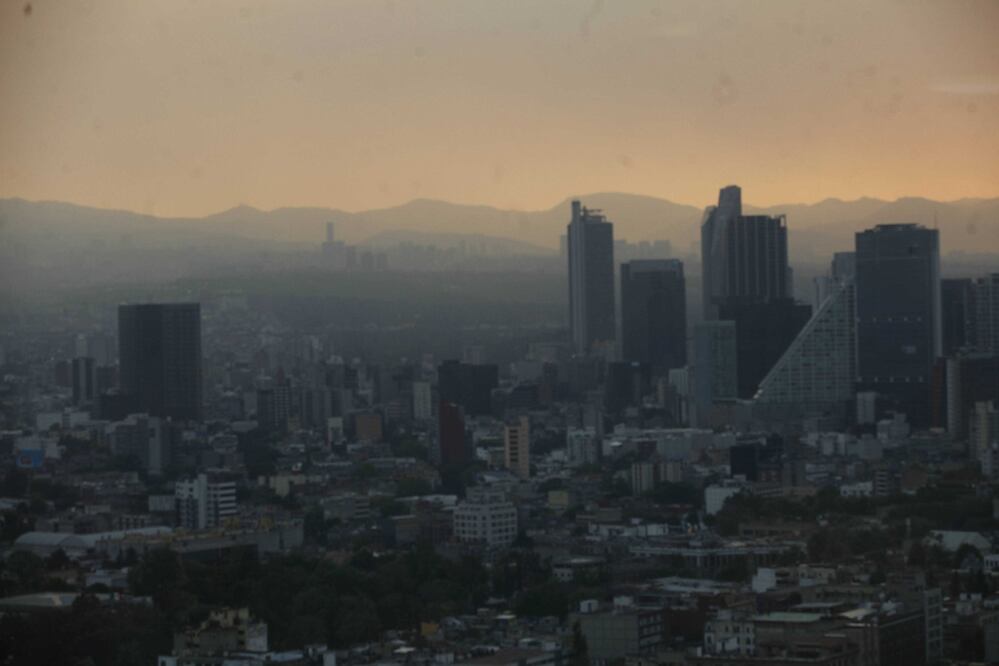 (Foto: Juan Carlos Reyes Garcia / EL UNIVERSAL)