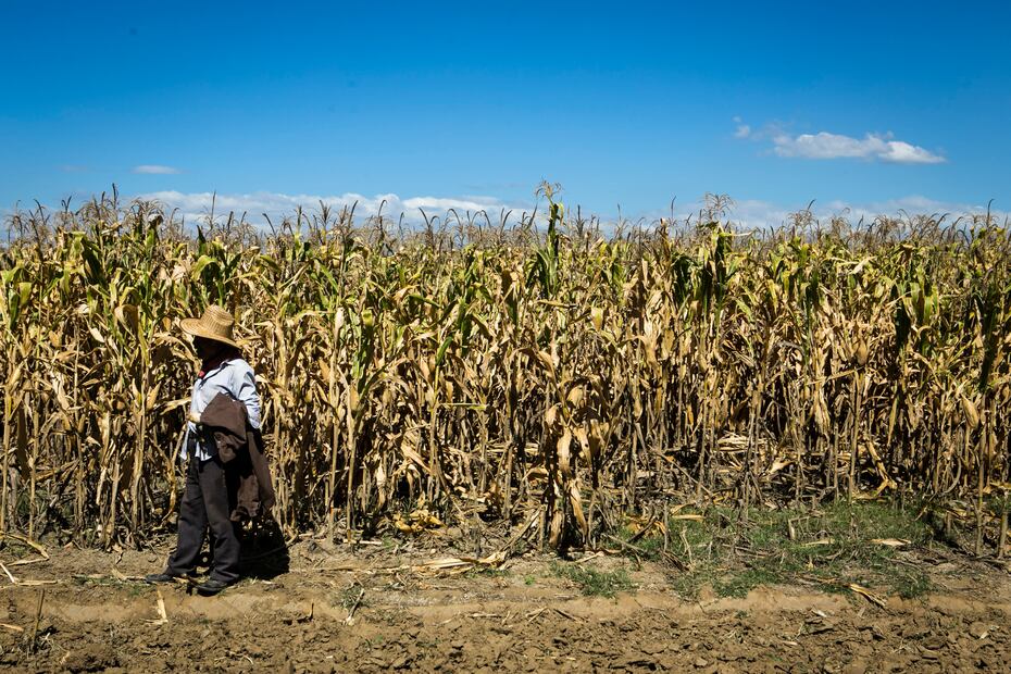 Foto: Mario Martínez