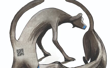 La rápida información 